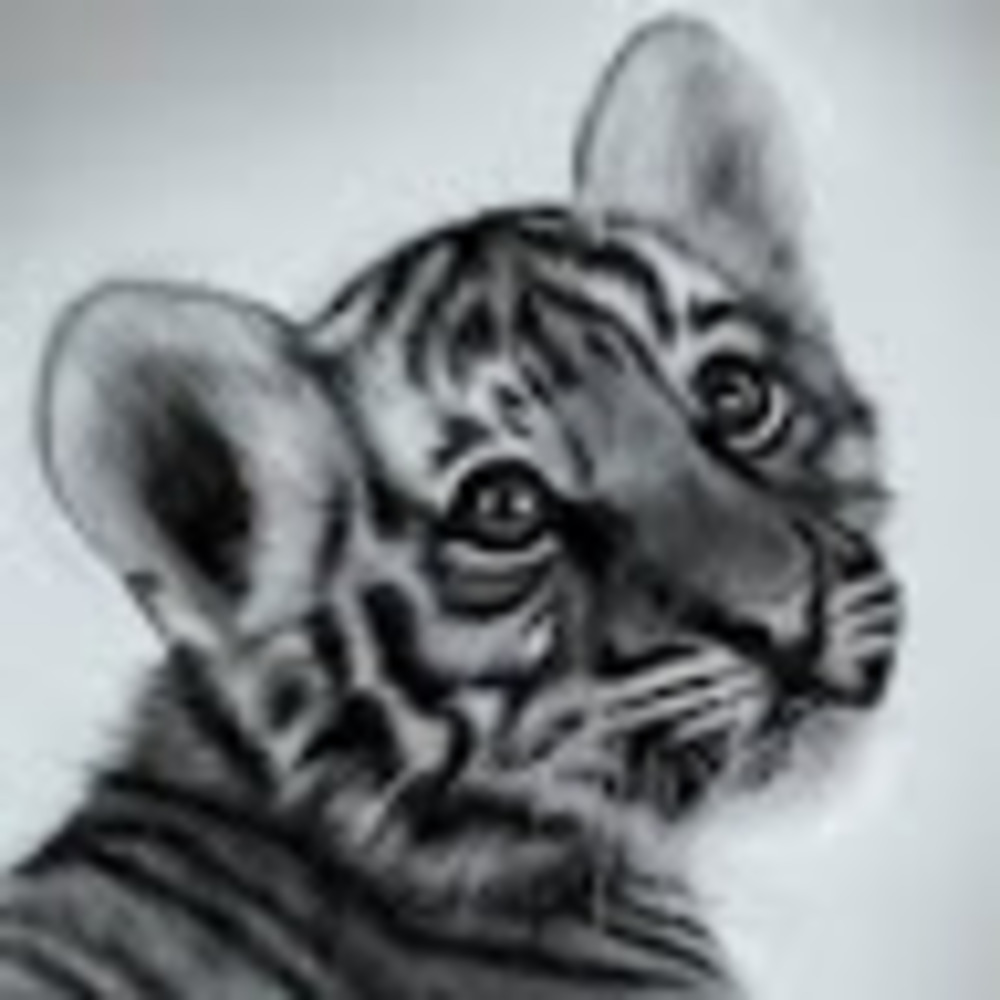 Meet your Posher, Sinead